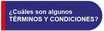 bullet_terminos_condiciones-04